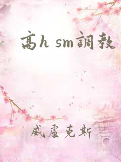 高h sm调教