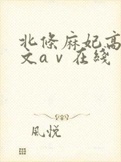 北条麻妃高清中文aⅴ在线