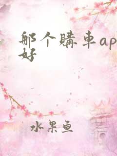 那个购车app好