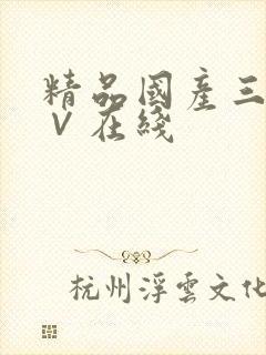 精品国产三级a∨在线