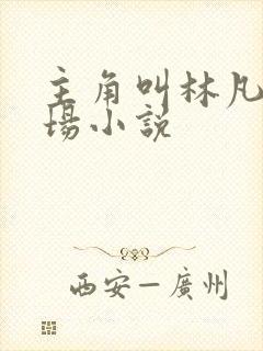 主角叫林凡的官场小说