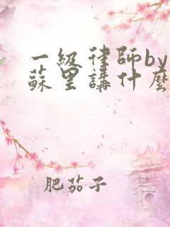 一级律师by木苏里讲什么