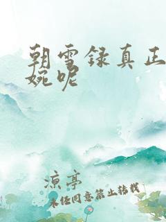 朝雪录真正的秦婉呢