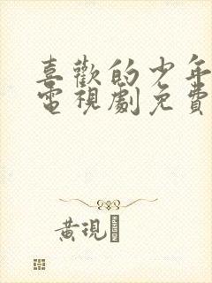 喜欢的少年是你电视剧免费观看