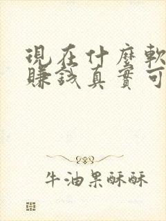 现在什么软件能赚钱真实可靠