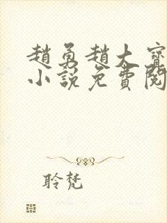 赵勇赵大宝苏媚小说免费阅读