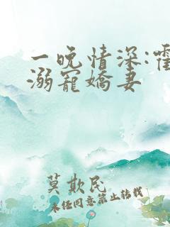 一晚情深:霍少溺宠娇妻
