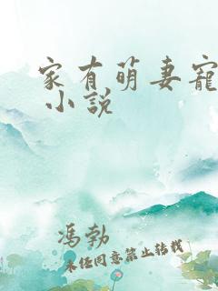 家有萌妻宠上天 小说 家有萌妻宠上天 小说