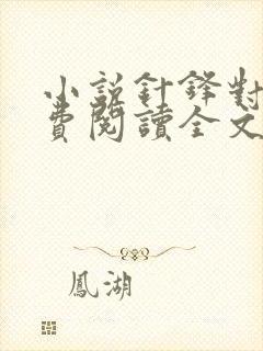 小说针锋对决免费阅读全文