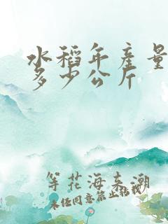 水稻年产量一亩多少公斤