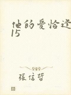 他的爱恰逢其时15