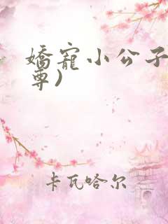 娇宠小公子(女尊)