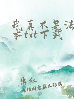 我真不是法爷全本txt下载