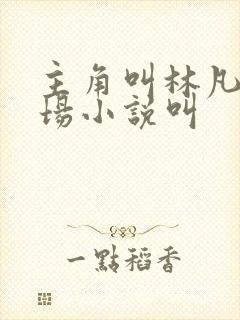 主角叫林凡的官场小说叫