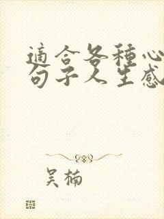 适合各种心情的句子人生感悟