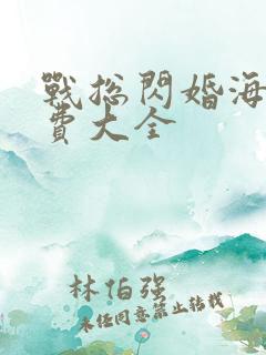 战总闪婚海彤免费大全