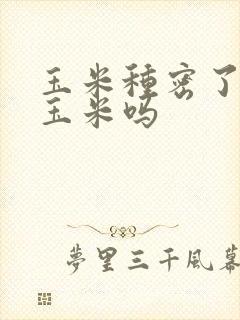 玉米种密了会结玉米吗