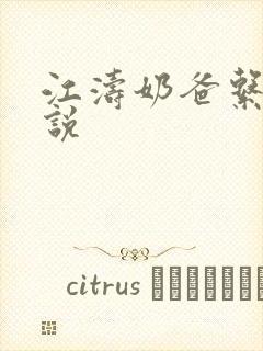 江涛奶爸系统小说