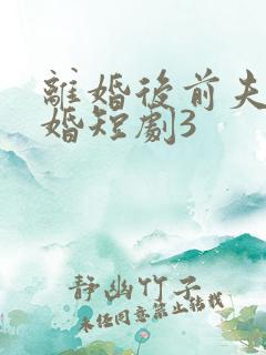 离婚后前夫求复婚短剧3