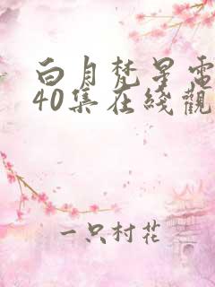 白月梵星电视剧40集在线观看
