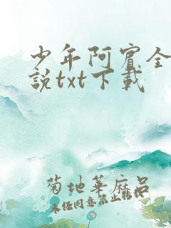 少年阿宾全文小说txt下载