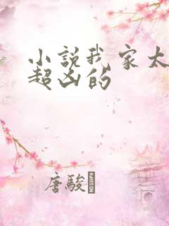 小说我家太子妃超凶的