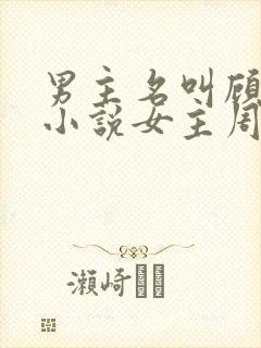 男主名叫顾衍的小说女主周