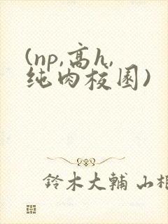(np,高h,纯肉校园) (np,高h,纯肉校园)