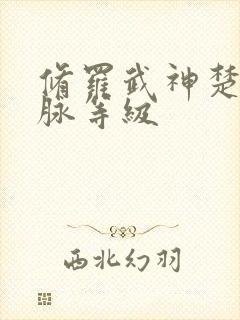 修罗武神楚枫血脉等级