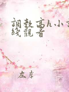 调教高h小说在线观看