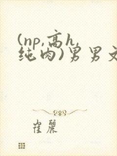 (np,高h,纯肉)男男文