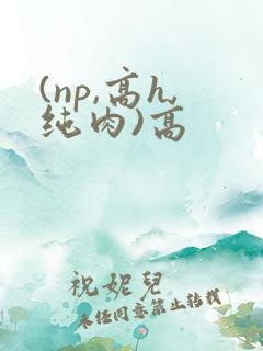 (np,高h,纯肉)高