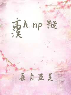 高h np 糙汉