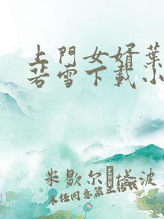 上门女婿叶凡唐若雪下载小说