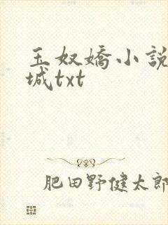 玉奴娇小说白玉城txt
