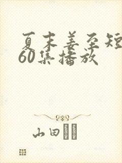 夏末姜至短剧第60集播放