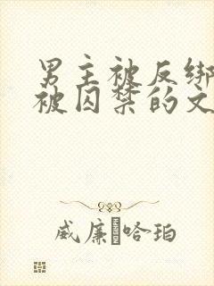 男主被反绑双手被囚禁的文有哪些
