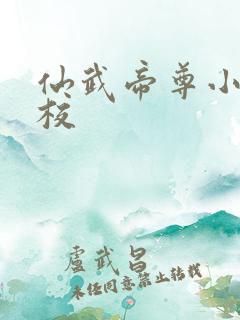 仙武帝尊小说精校