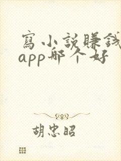 写小说赚钱软件app哪个好