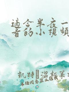 适合半夜一个人看的小视频