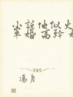 小说他似火 (军婚 高干 婚恋)