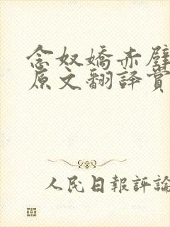 念奴娇赤壁怀古原文翻译赏析