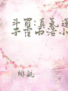 斗罗:真气运之子霍雨浩小说
