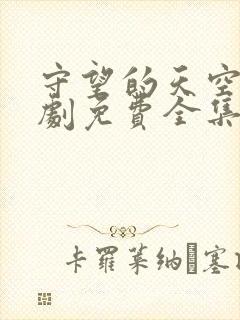 守望的天空电视剧免费全集