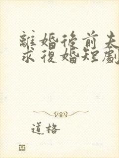 离婚后前夫哭着求复婚短剧免费版观看