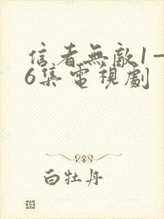 信者无敌1—46集电视剧