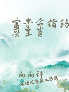 富贵命指的是什么生肖