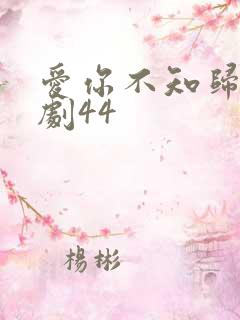 爱你不知归途短剧44