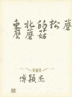 东北的松蘑是什么蘑菇