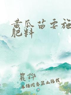 黄瓜苗要施什么肥料
